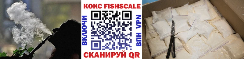 Cocaine Fish Scale  Купить закладки  Артёмовск 