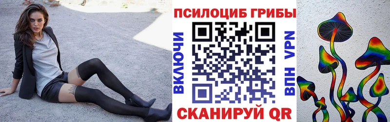 Купить где  Артёмовск  Псилоцибиновые грибы MAGIC MUSHROOMS 